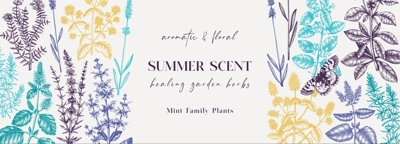 Mints in colors. Hand sketched medicinal herbs banner design. Vector mint plants sketches. Vintage summer flowers template. Botanical background with floral elements in engraved style. 